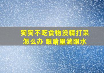 狗狗不吃食物没精打采怎么办 眼睛里淌眼水